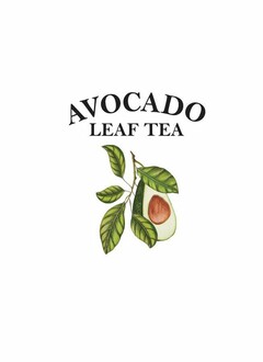 AVOCADO LEAF TEA