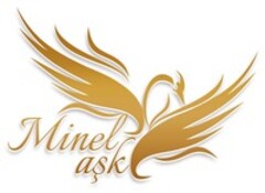 Minel ask