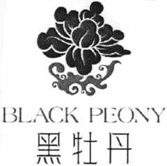 BLACK PEONY