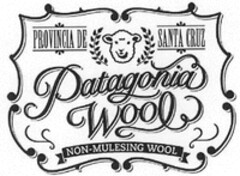 Patagonia Wool PROVINCIA DE SANTA CRUZ NON-MULESING WOOL