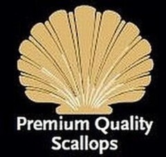 Premium Quality Scallops