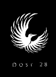 DOSE 28