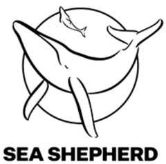 SEA SHEPHERD