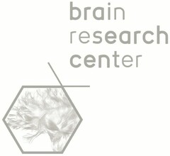 brain research center
