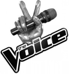 the Voice