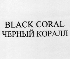 BLACK CORAL