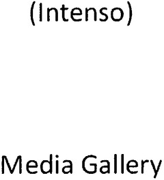 (Intenso) Media Gallery
