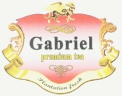 Gabriel premium tea Plantation fresh