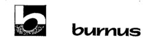 burnus