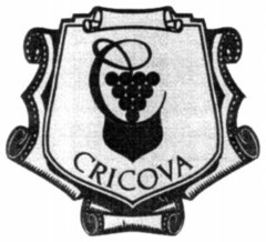 CRICOVA C