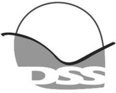 DSS