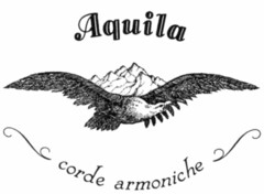 Aquila corde armoniche