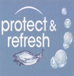 protect & refresh