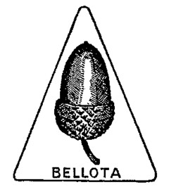 BELLOTA