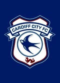 CARDIFF CITY FC