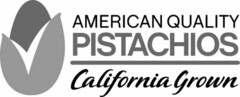 AMERICAN QUALITY PISTACHIOS California Grown