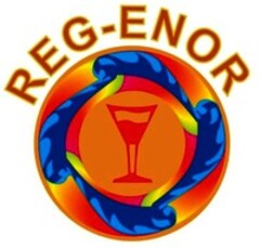 REG-ENOR