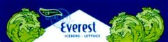 Everest ICEBERG - LETTUCE
