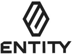 E ENTITY