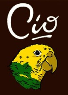 Cio