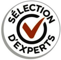 SÉLECTION D'EXPERTS