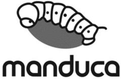 manduca