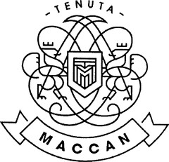 TENUTA MACCAN