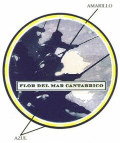 FLOR DEL MAR CANTABRICO