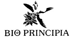 BIO PRINCIPIA