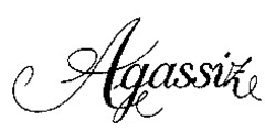 Agassize