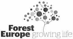 Forest Europe growing life