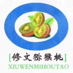 XIUWENMIHOUTAO