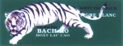 BACH HO WHITE TIGER BALM TIGRE BLANC Cao Xoa Bop HOAT LAC CAO