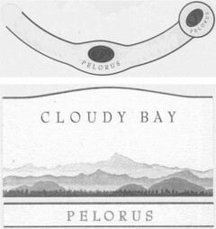 CLOUDY BAY PELORUS