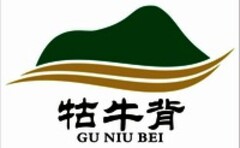 GU NIU BEI