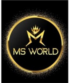 MS WORLD