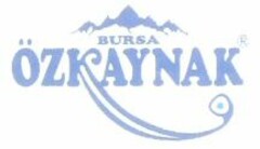 ÖZKAYNAK BURSA