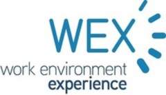 WEX work environment experience