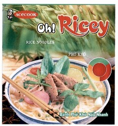 ACECOOK Oh! Ricey RICE NOODLES PHO KHO BANH PHO KHO NAU NHANH