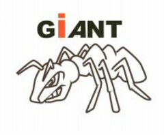 GIANT