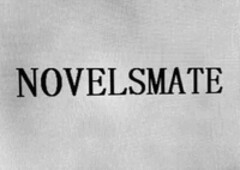 NOVELSMATE