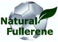 Natural Fullerene