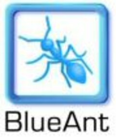 BlueAnt