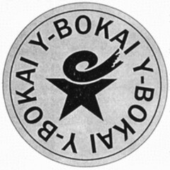 Y-BOKAI