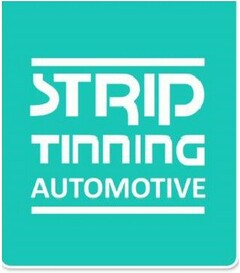 STRIP TINNING AUTOMOTIVE