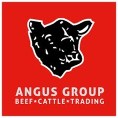 ANGUS GROUP BEEF CATTLE TRADING