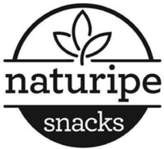 naturipe snacks