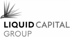 LIQUID CAPITAL GROUP