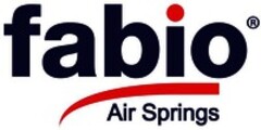 fabio Air Springs