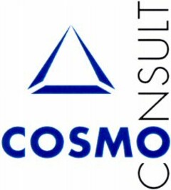 COSMO CONSULT